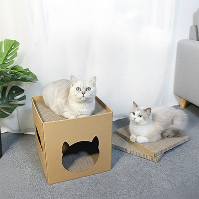 Maison pour chat en carton avec deux  chats 