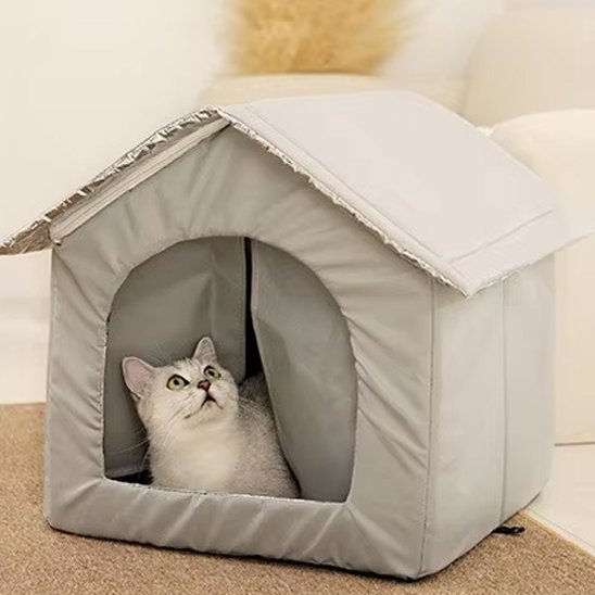 maison pour chat "extérieur" beige clair avec rideaux chat assis dedans 