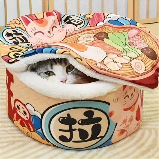 Maison pour chat forme de bol nouilles chinoises chat cache dedans