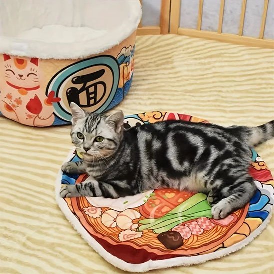 Maison pour chat forme de bol nouilles chinoises chat couche dessus