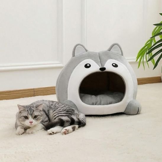 Maison pour chat forme de husky gris et blanc avec chat couche devant