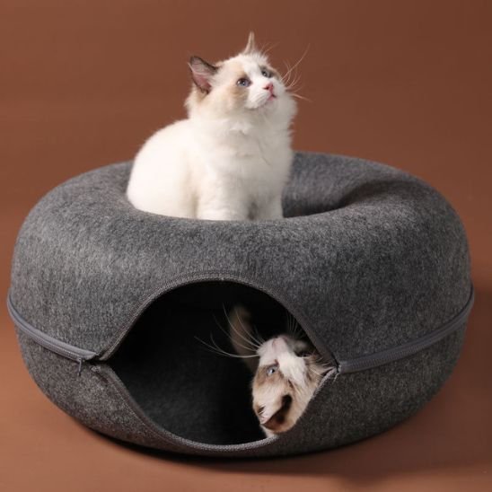 maison pour chats forme de donut gris avec deux chats 