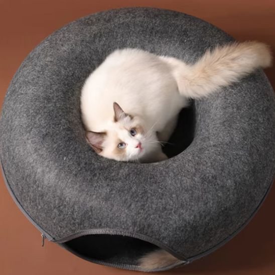 maison pour chats forme de donut gris avec un chat vue du dessus