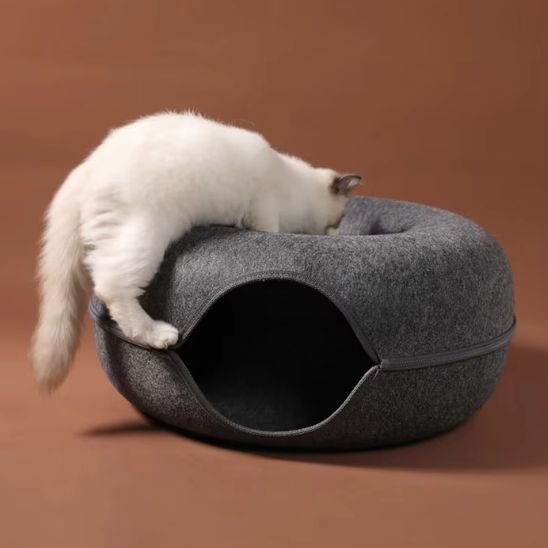 maison pour chats forme de donut gris chat  jouant dedans