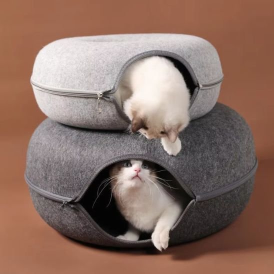 maison pour chats forme de donut gris deux poses un sur autre avec deux chats 