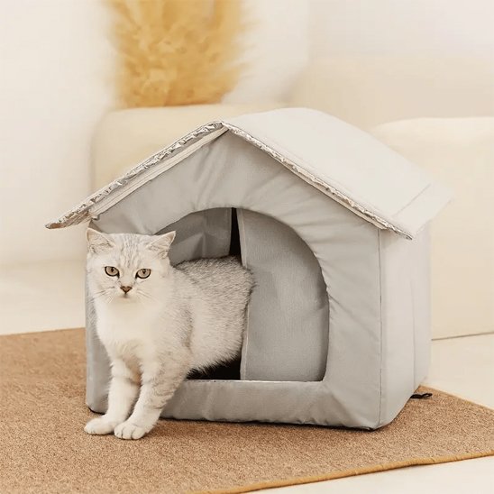maison pour les chats beige avec chat dedans 