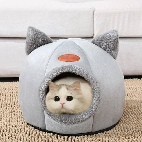 maison pour les chats forme tete de chat avec animal dedans