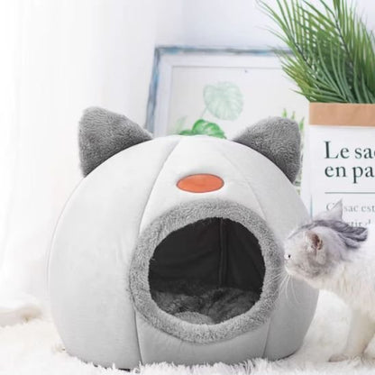 maison pour les chats forme tete de chat avec chat devant
