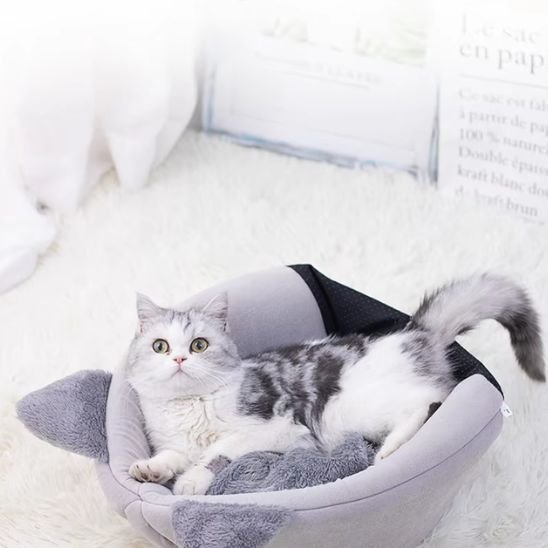 maison pour les chats forme tete de chat modulable avec chat couche dessus 