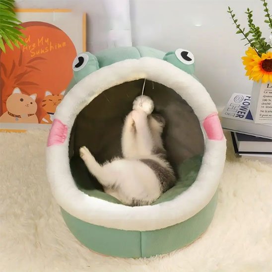 maisons pour chat vert tête de grenouille jouet suspendu chat couche dedans