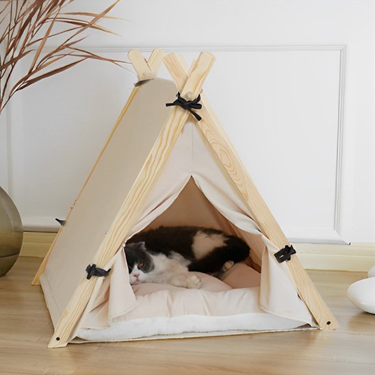 Niche chat forme tipi avec chat dedans