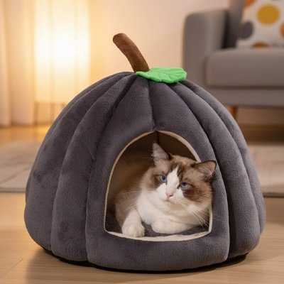 Niche Chat grise en forme de citrouille confortable