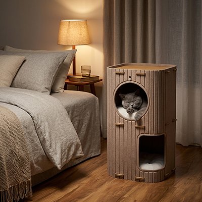 Niche chats bois naturel avec jouet suspendu chat gris dedans