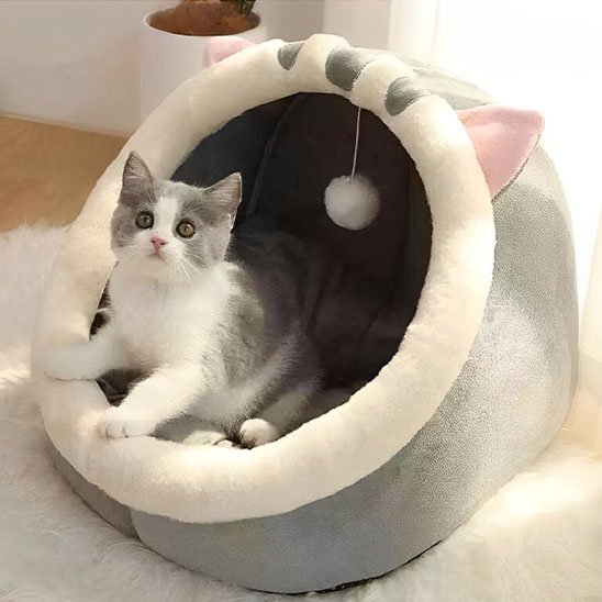 Niche chats tete de chat grise chaton assis dedans