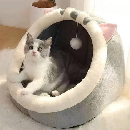 Niche chats tete de chat grise chaton assis dedans
