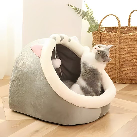 Niche chats tete de chat grise chaton jouant dedans