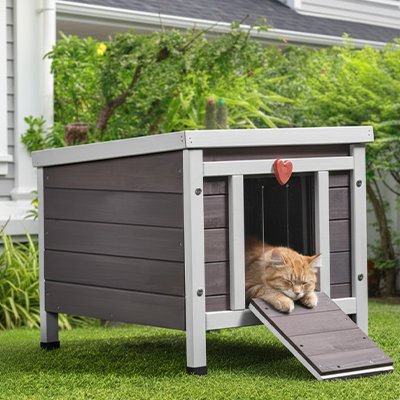 Niche exterieur pour chat grise et blanche en bois chat dormant dedans