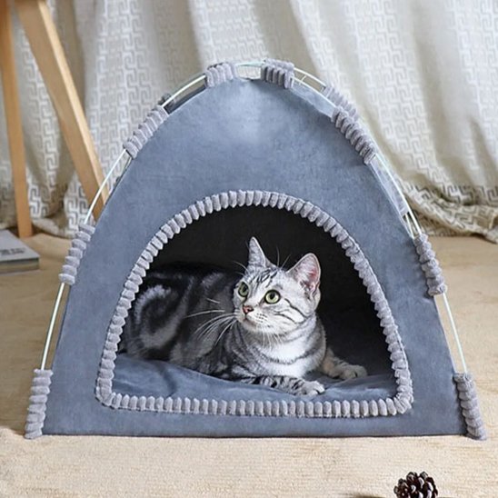 Niche pour Chat bleue avec chat dedans