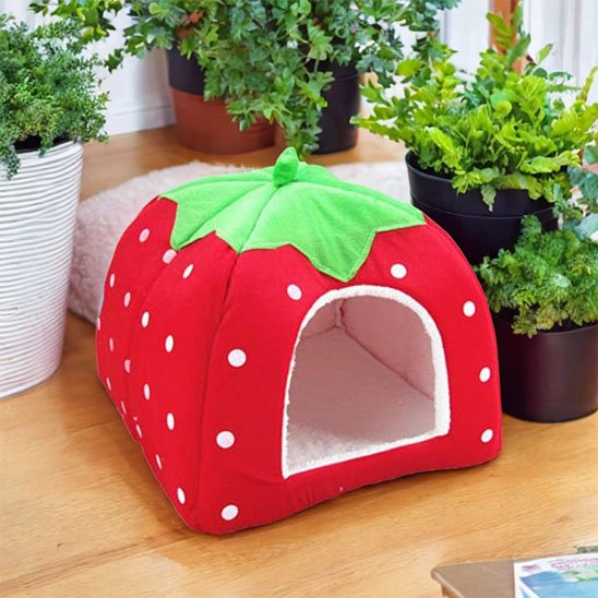 Niche pour chat couleur et forme fraise
