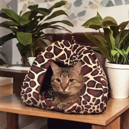 Niche pour chat tachete comme girafe avec chat dedans