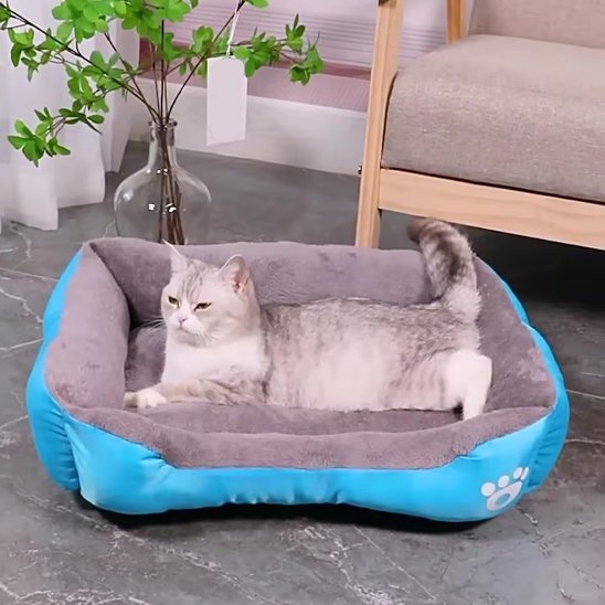 Panier a chat rectangulaire bleu avec un chat dedans