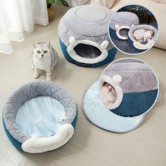 panier chat deux versions plie deplie chat assis salon lumineux images details