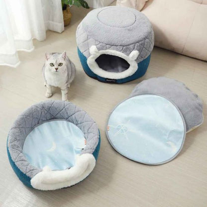 panier chat deux versions plie deplie chat assis salon lumineux