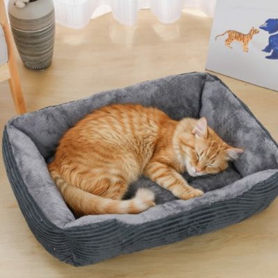 panier chat gris rectangulaire animal dormant dedans