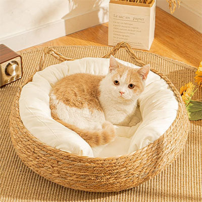 panier chat osier avec anses et coussin ultra moelleux