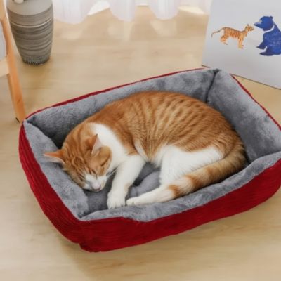 panier chat rouge rectangulaire animal dormant dedans