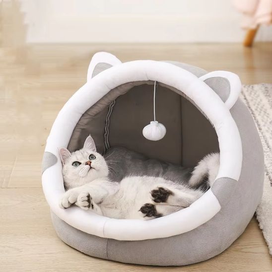 panier chat semi couvert gros plan jouet