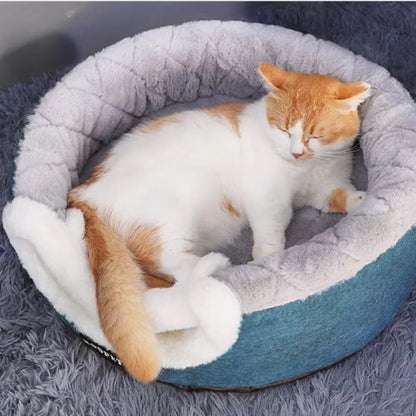 panier chat version panier moelleux chat confortablement installe dedans