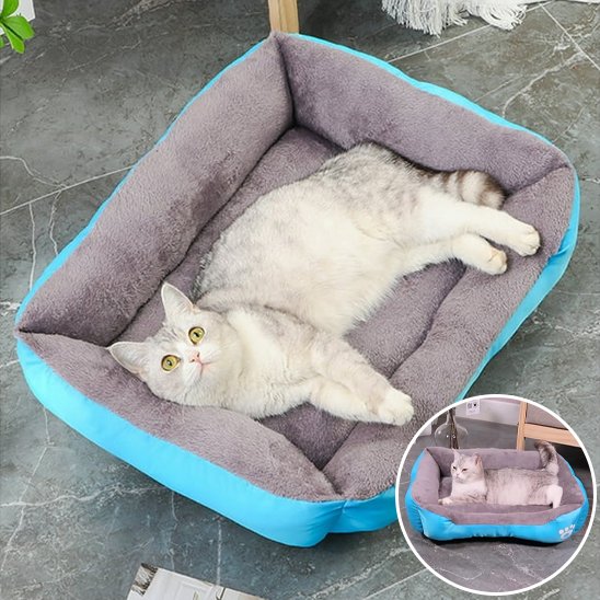 Panier Chat