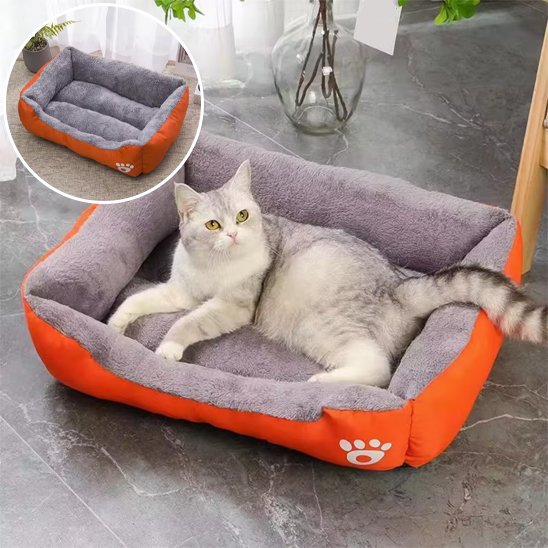 Panier Chat