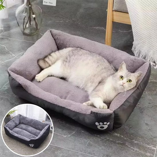 Panier Chat