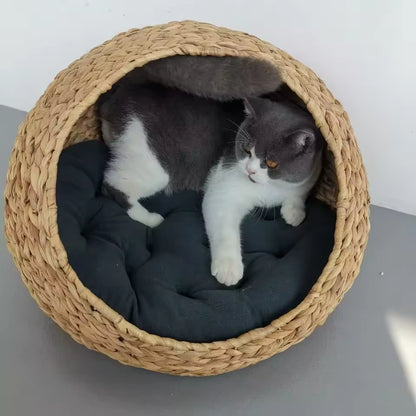 panier osier chat animal dedans coussin moelleux