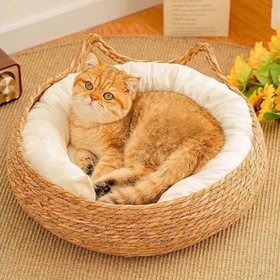 panier osier chat rond avec oreilles décoratives et coussin blanc 