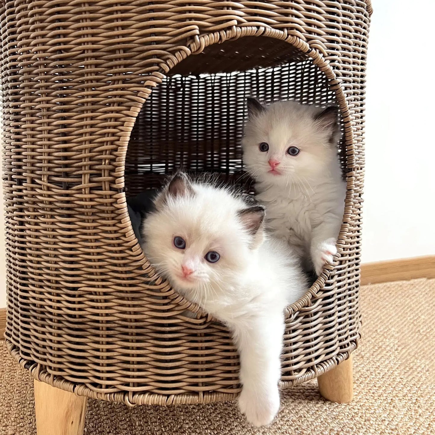 panier osier chat sur pieds en bois confortable
