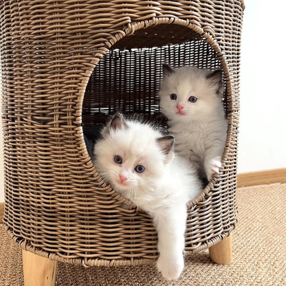 panier osier chat sur pieds en bois confortable