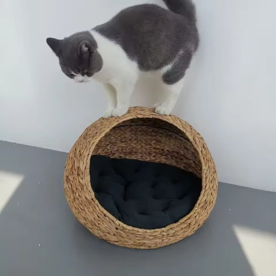 panier osier chat vu interieure avec coussin moelleux