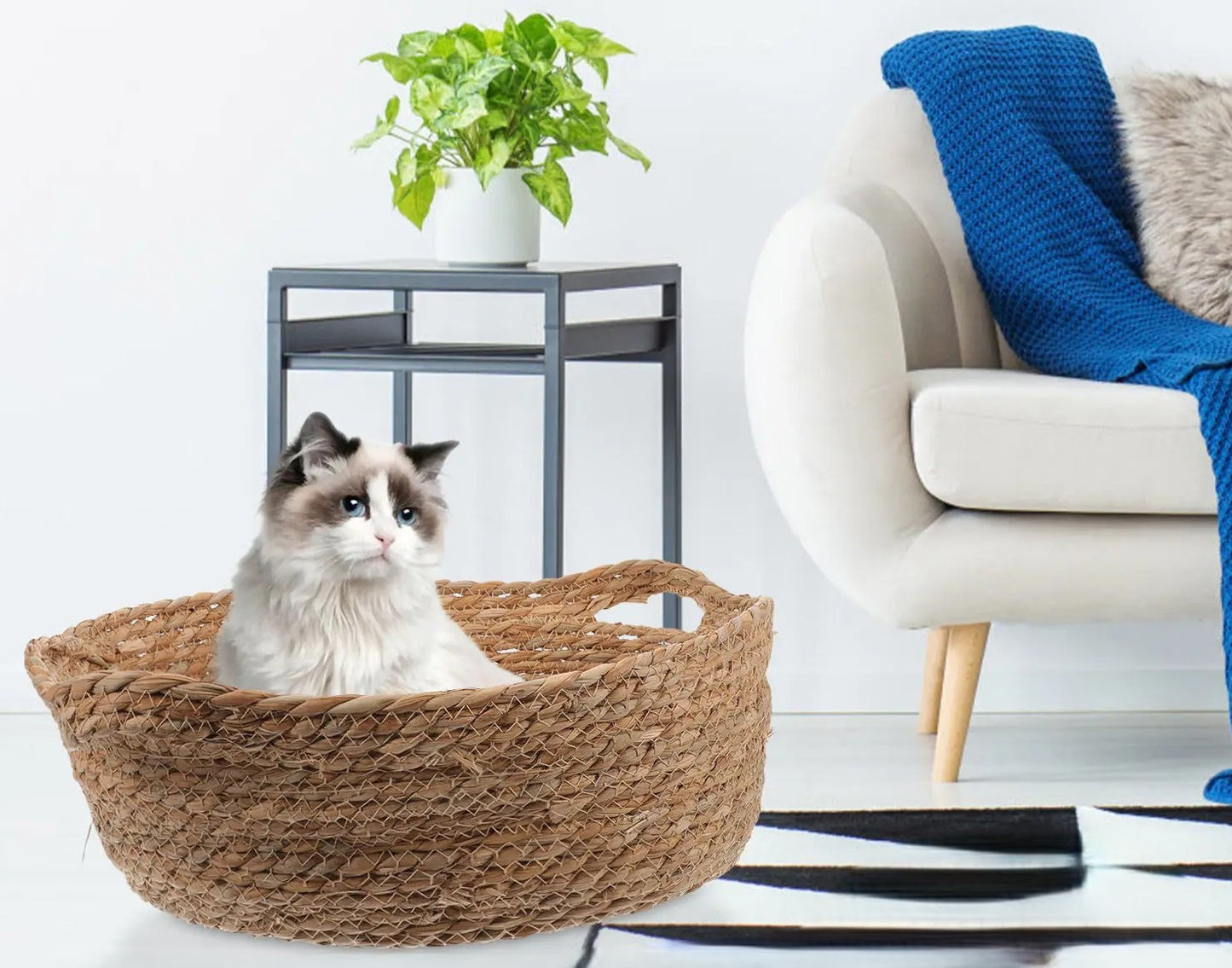 panier osier pour chat | Panier campagne