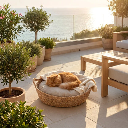 panier osier pour chat facile a transporter et moelleux