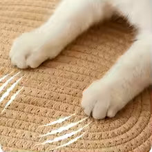 panier osier pour chat gros plan sur la matiere