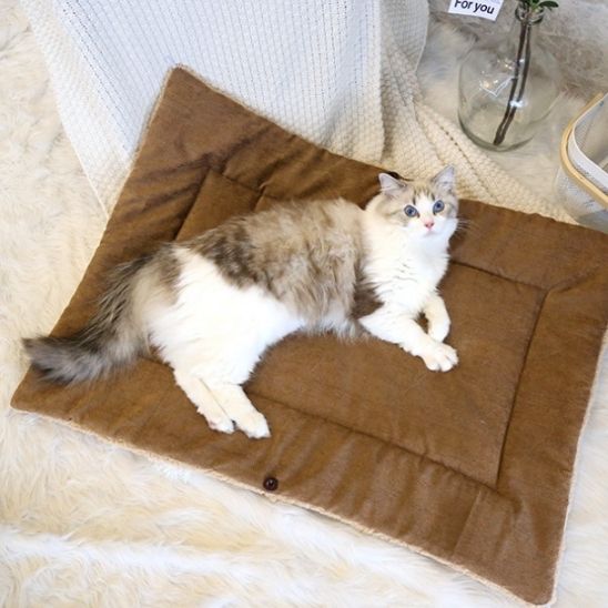 panier pour chat deplie comme une couverture 