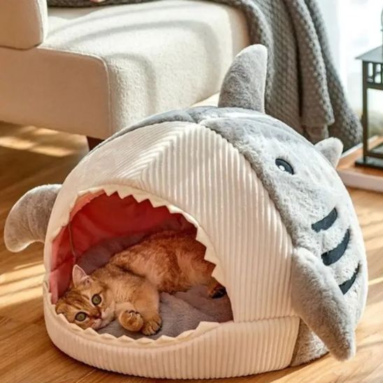 panier pour chat en forme de requin