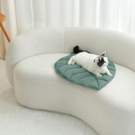 tapis chat forme de feuille verte avec un chat couche dessus