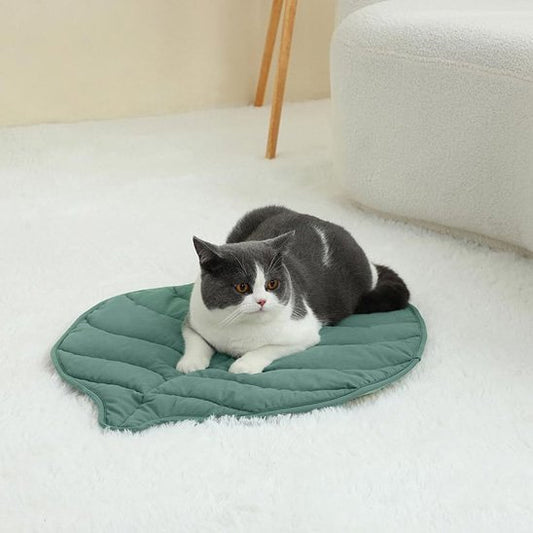 tapis chat forme de feuille verte avec un chat dessus