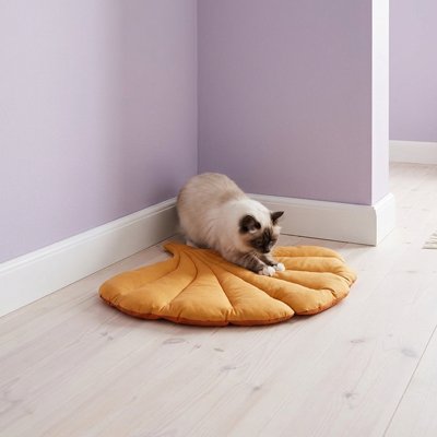 Tapis Chat forme eventail  jaune chat jouant dessus