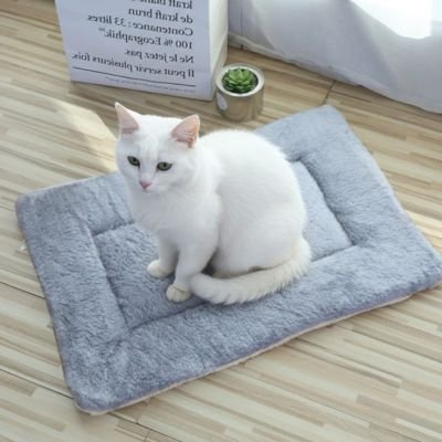 Tapis chat moelleux avec chat blanc assis dessus