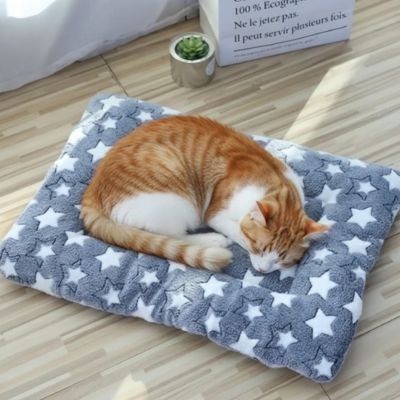Tapis chat moelleux avec chat blanc et roux dormant dessus